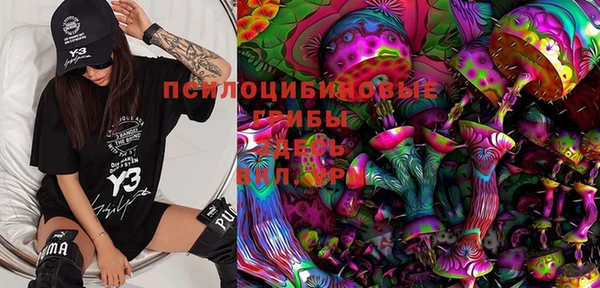 амф Бугульма