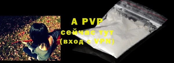 PSILOCYBIN Богданович