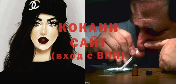 кокс Богородицк