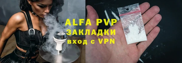 PSILOCYBIN Богданович