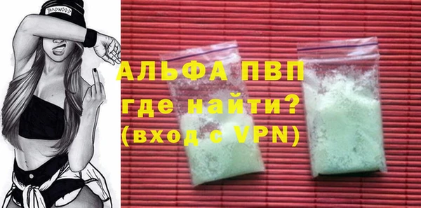 PSILOCYBIN Богданович