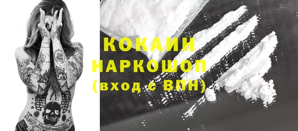 PSILOCYBIN Богданович
